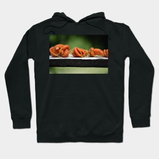 Crooked Carrots Hoodie